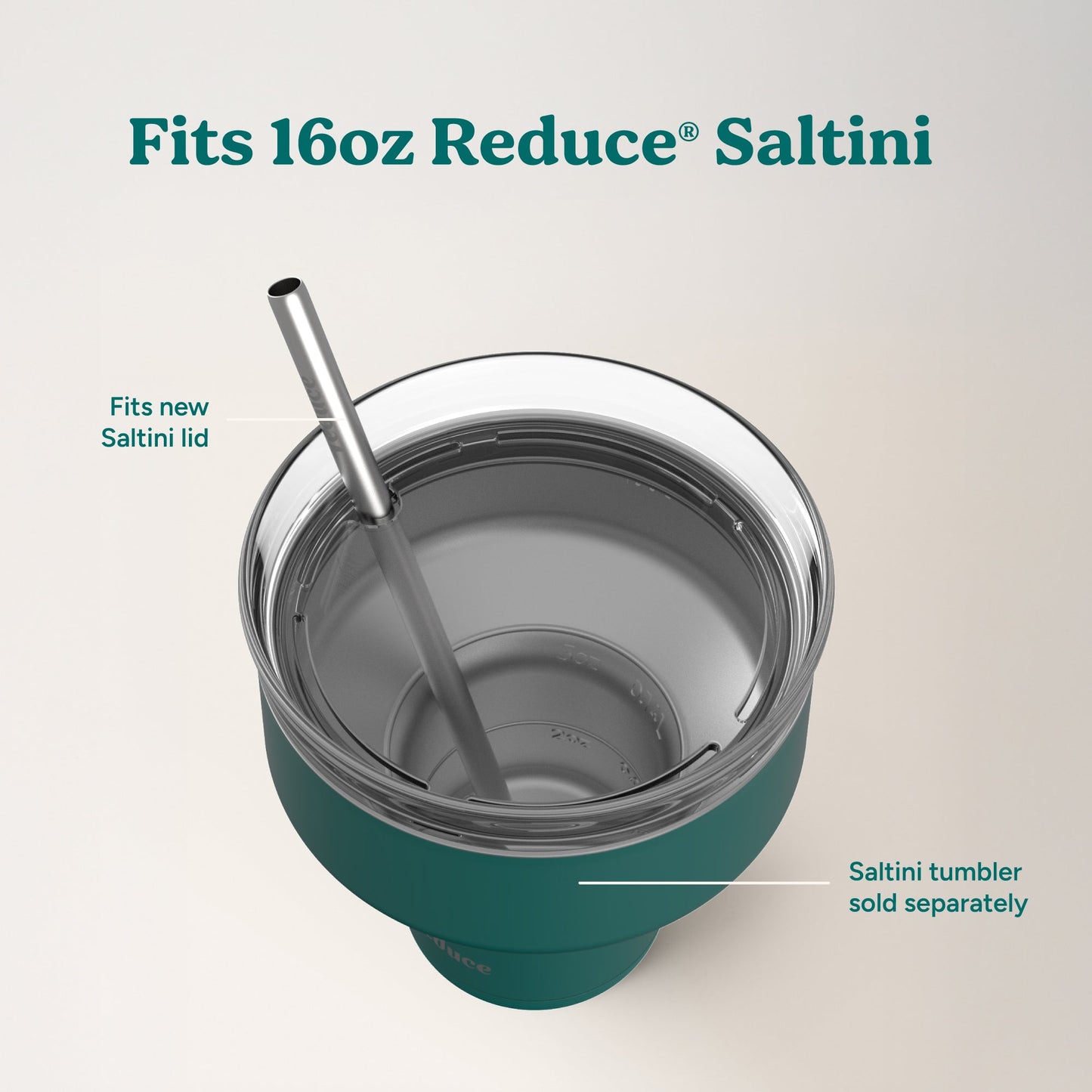 saltini-straw-set-z5 4PK_SaltiniStraws_SS-4.jpg