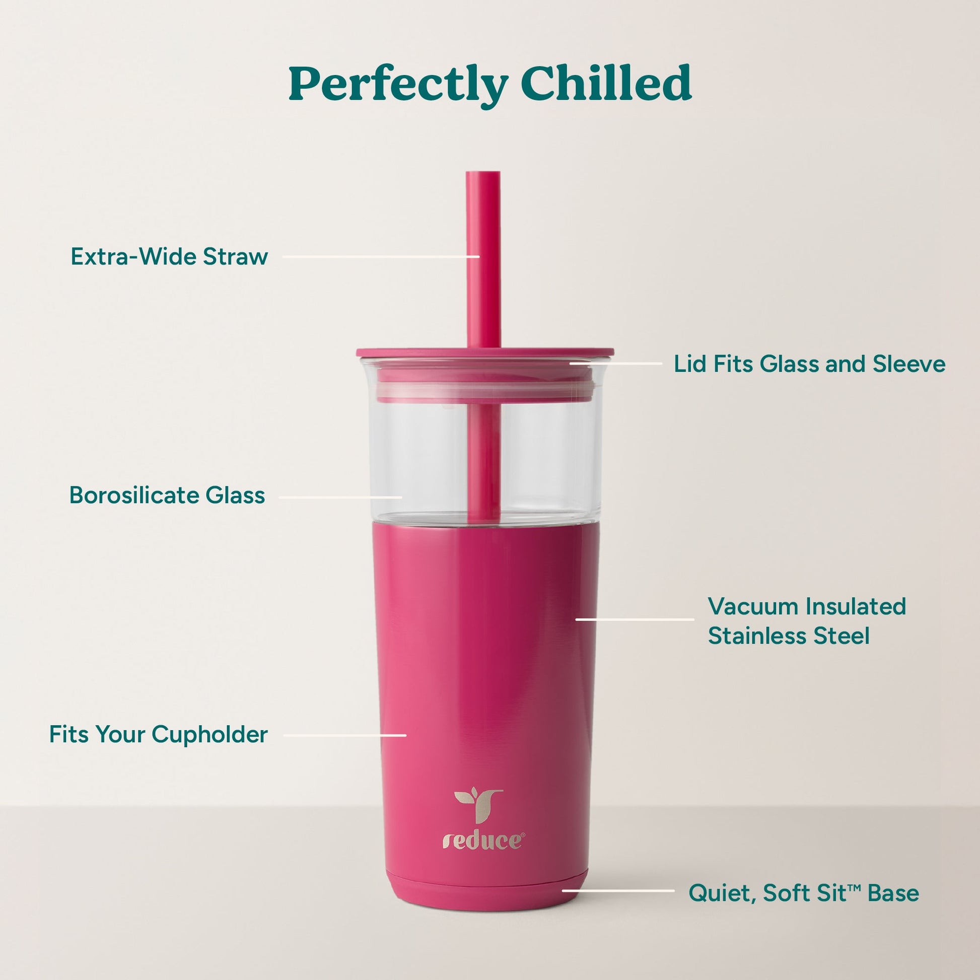 aspen-20-oz-q9 Aspen_Dragonfruit_PDP_Infographic2.jpg