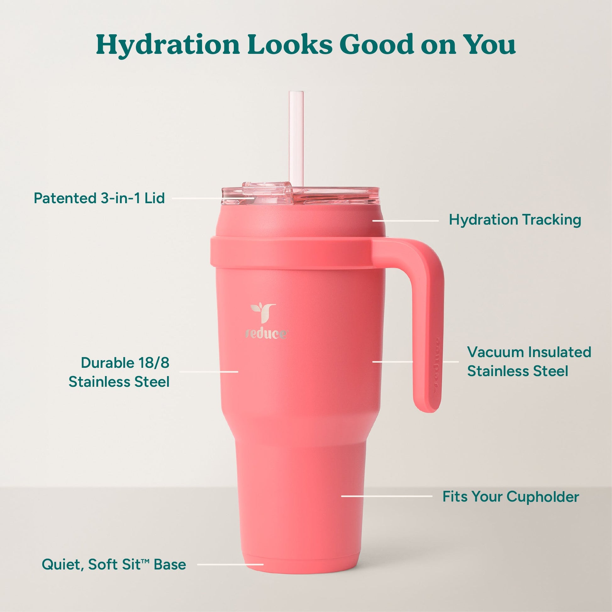 cold1-40-oz-e5 Cold1_40oz_Daiquiri_Infographic_2.jpg
