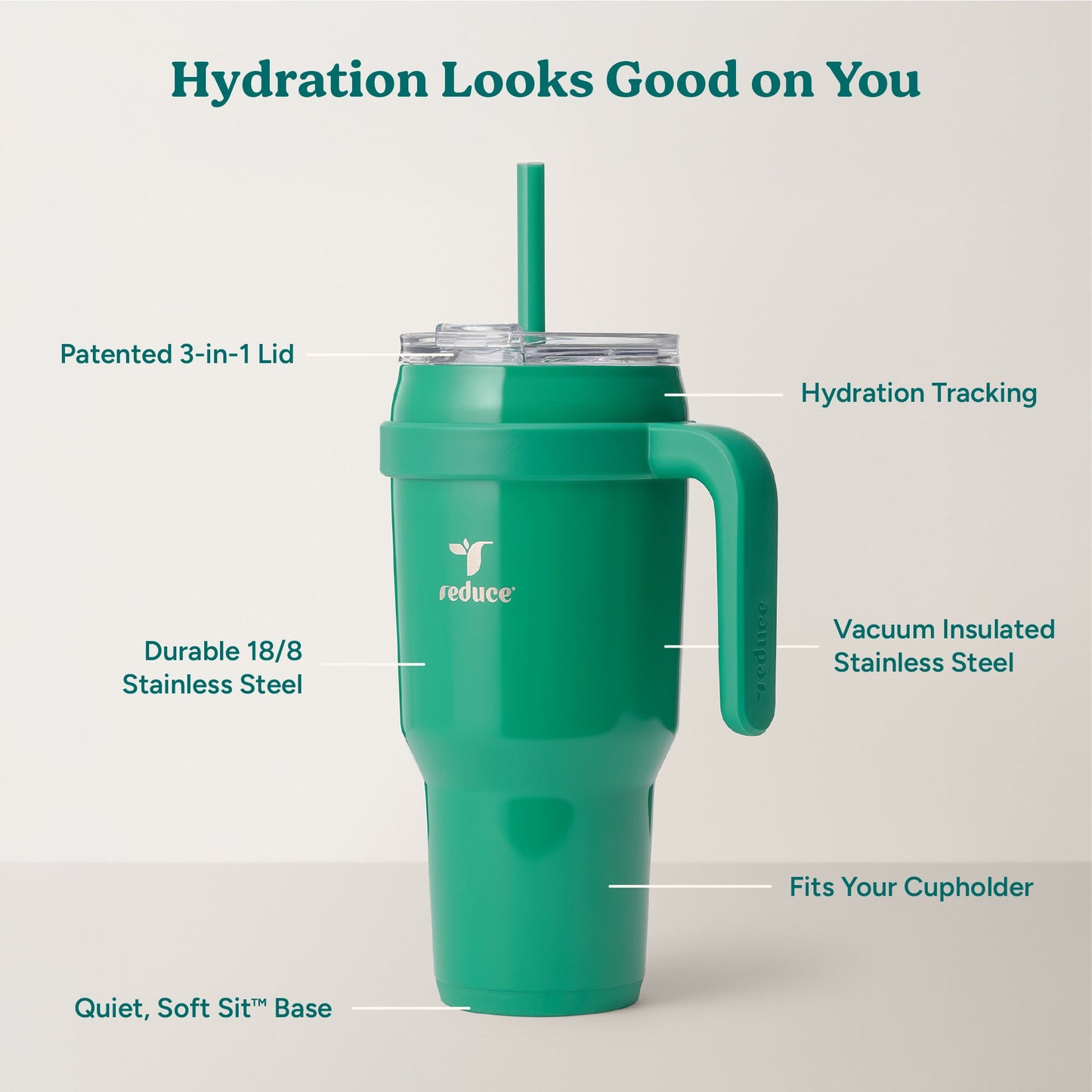 cold1-40-oz-e5 Cold1_40oz_PalmLeaf_Infographic_2.jpg