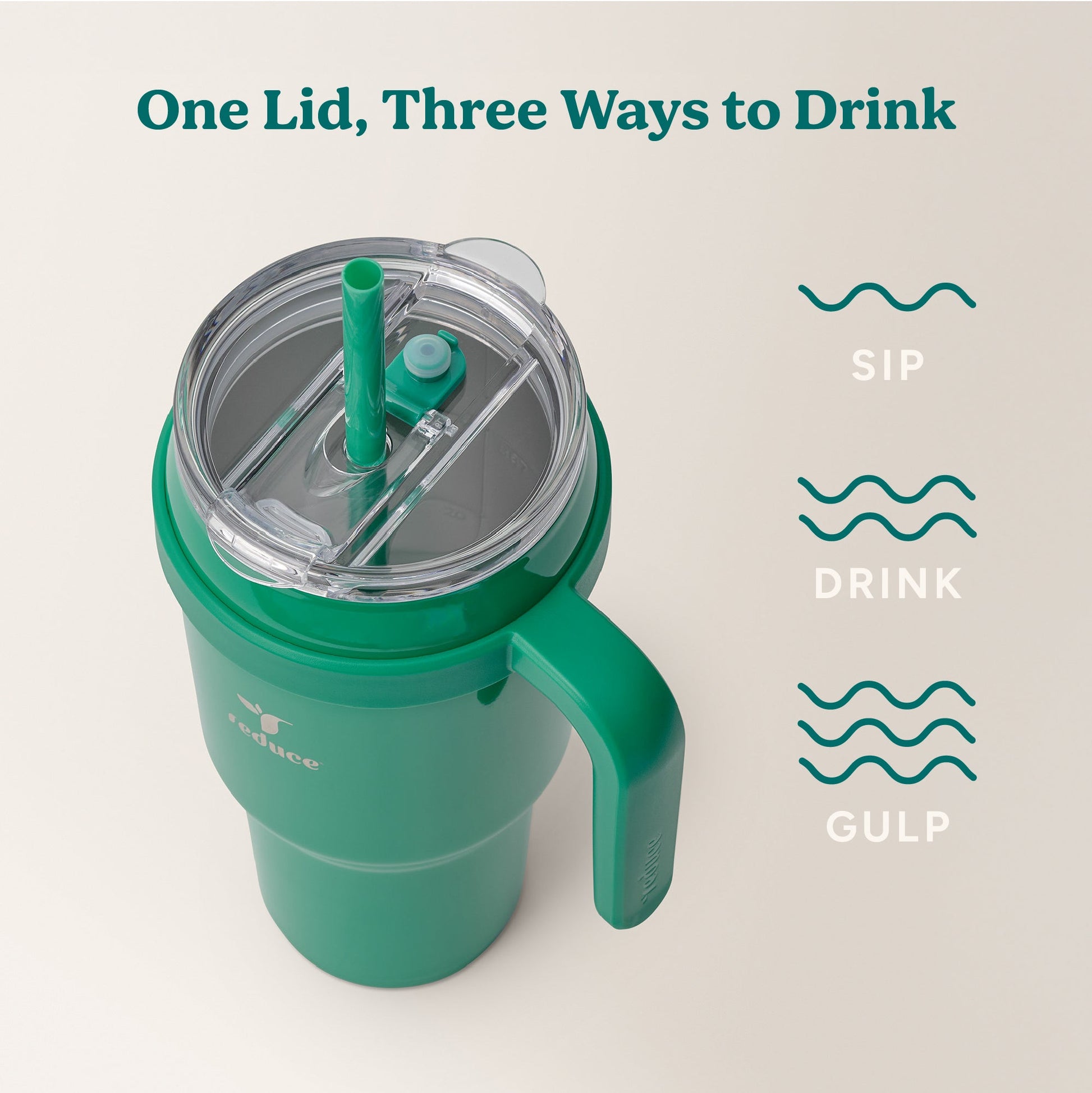 cold1-40-oz-e5 Cold1_40oz_PalmLeaf_Infographic_3.jpg