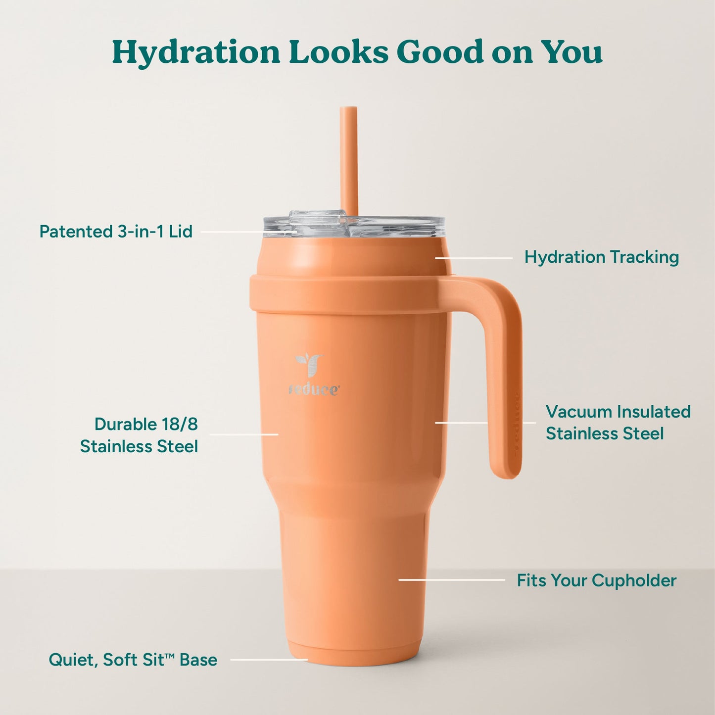 cold1-40-oz-e5 Cold1_40oz_Papaya_Infographic_2.jpg