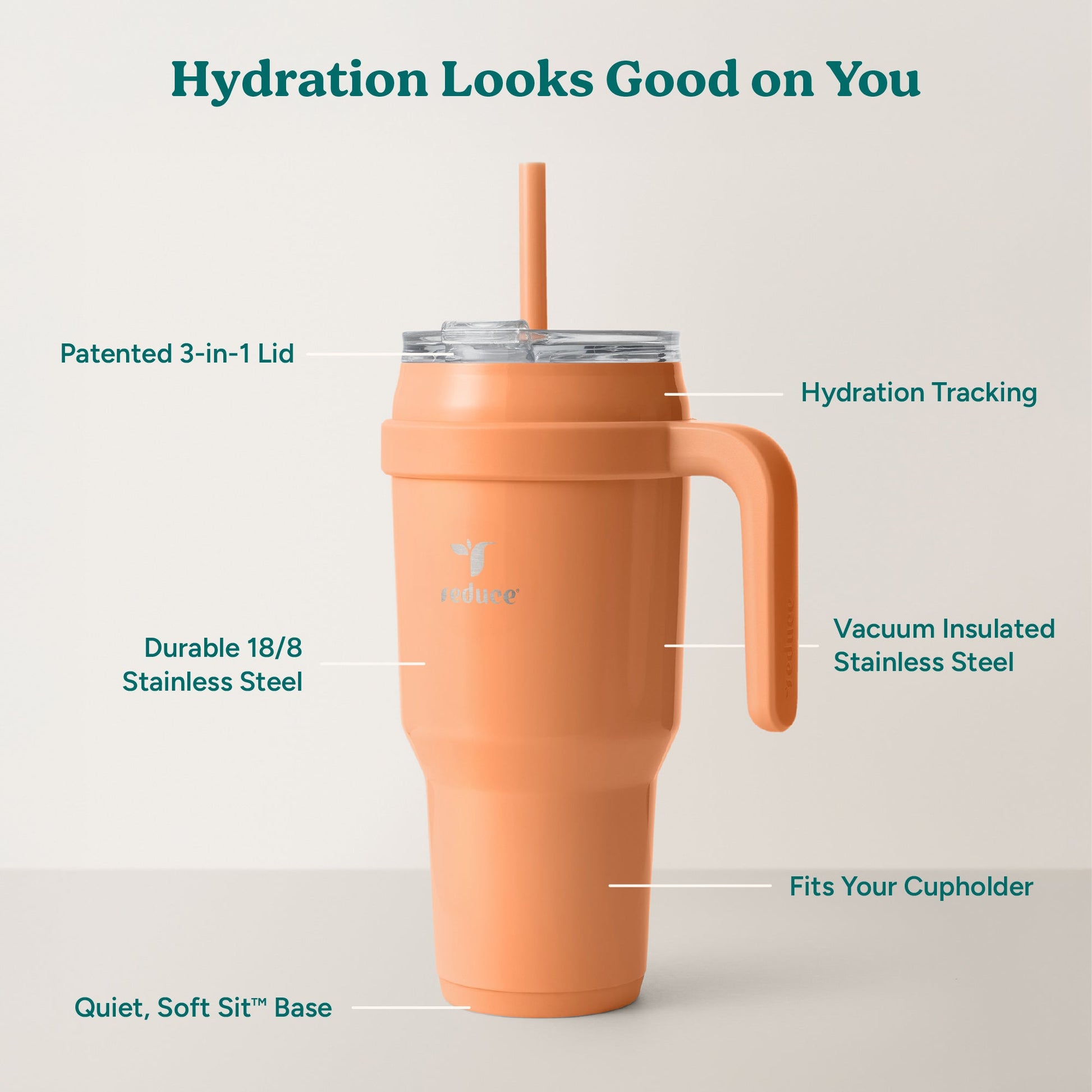 cold1-40-oz-e5 Cold1_40oz_Papaya_Infographic_2.jpg