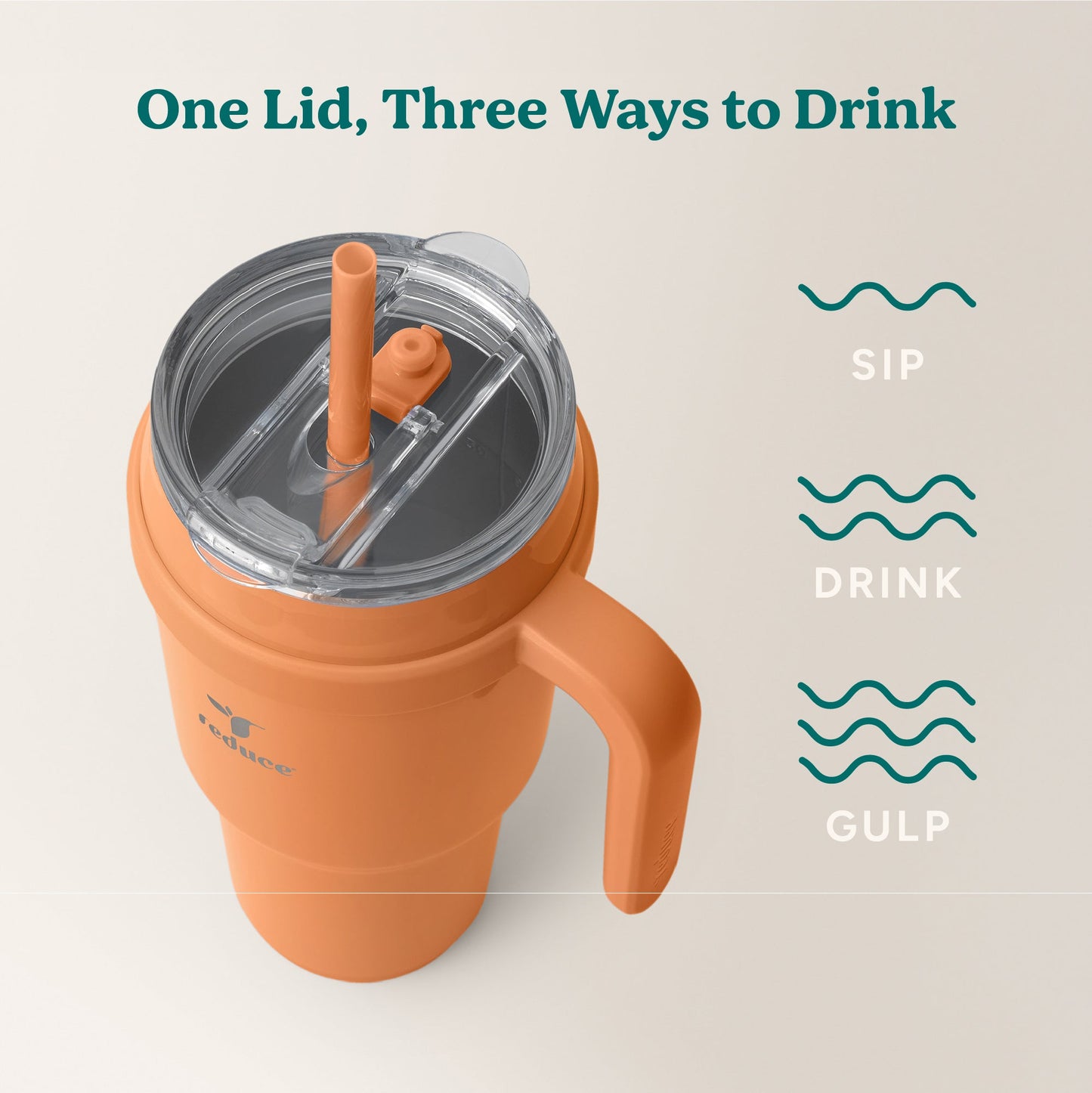 cold1-40-oz-e5 Cold1_40oz_Papaya_Infographic_3.jpg
