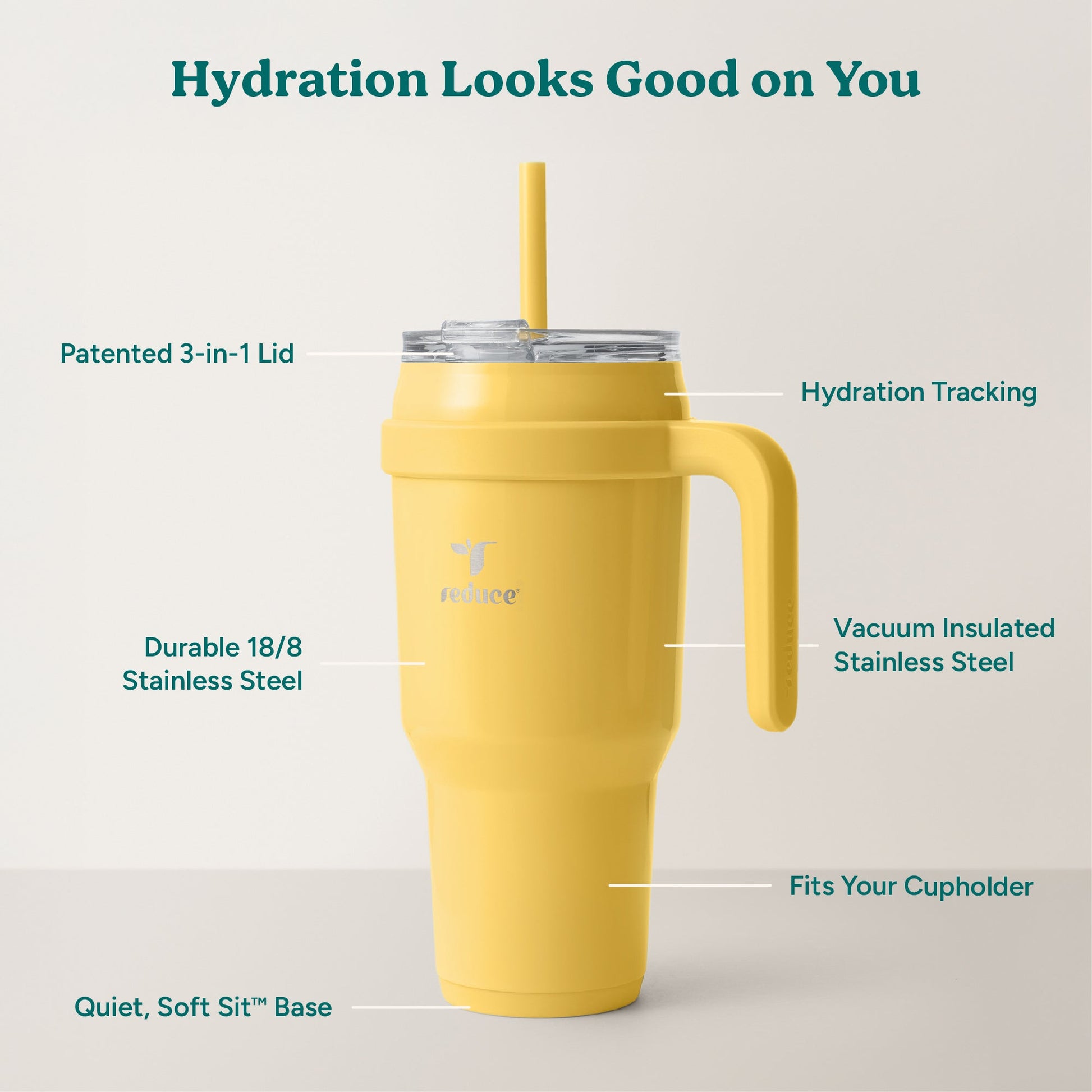 cold1-40-oz-e5 Cold1_40oz_Pineapple_Infographic_2.jpg